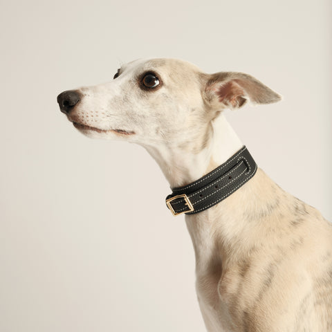 Double Loop Collar Narrow - Black