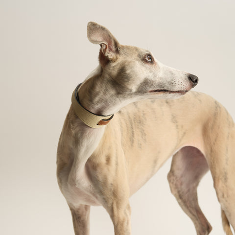 Double Loop Collar Narrow - White
