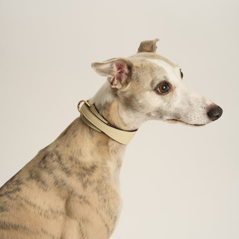 Double Loop Collar Narrow - White