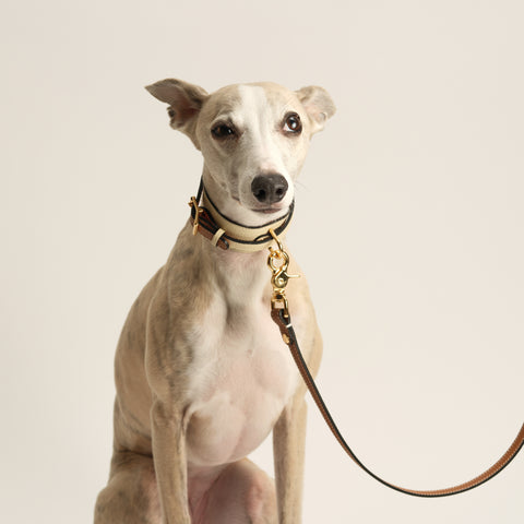 Double Loop Collar Narrow - White