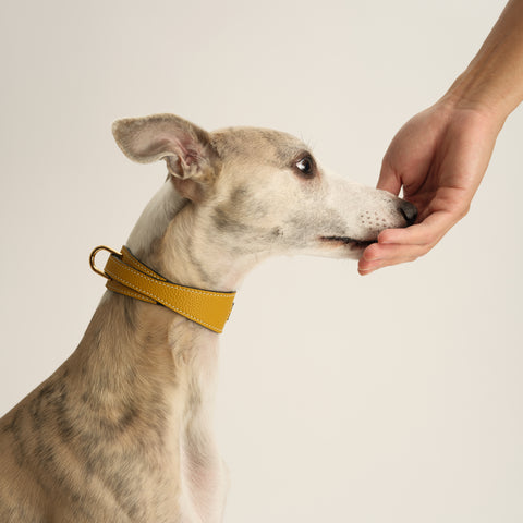 Double Loop Collar Narrow - Yellow