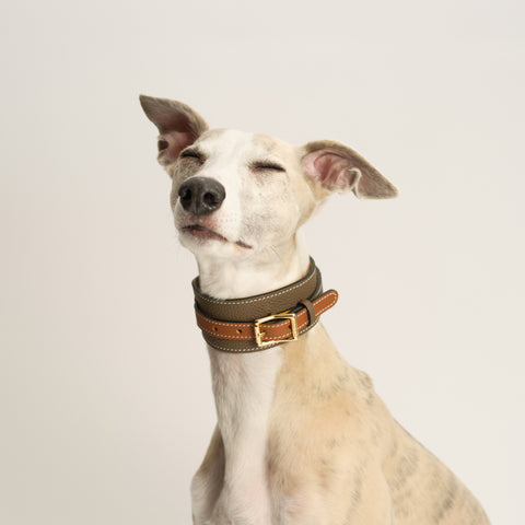 Double Loop Collar Standard - Grey