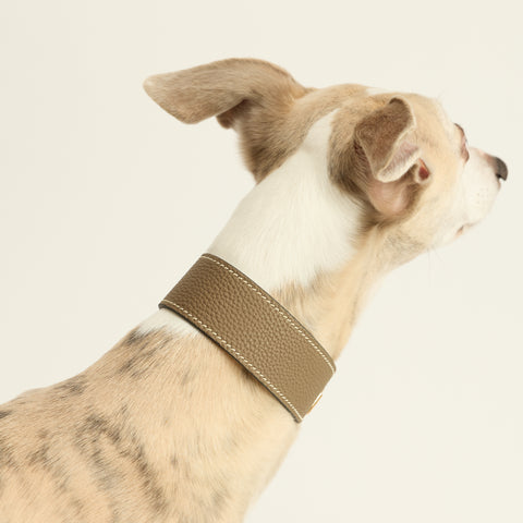 Single Loop Collar Hound - Grey