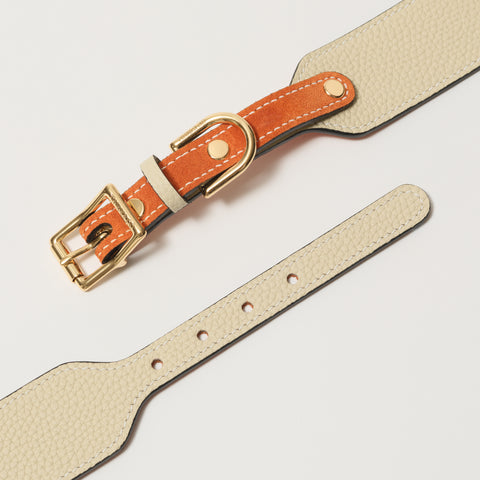 Single Loop Collar Hound - White