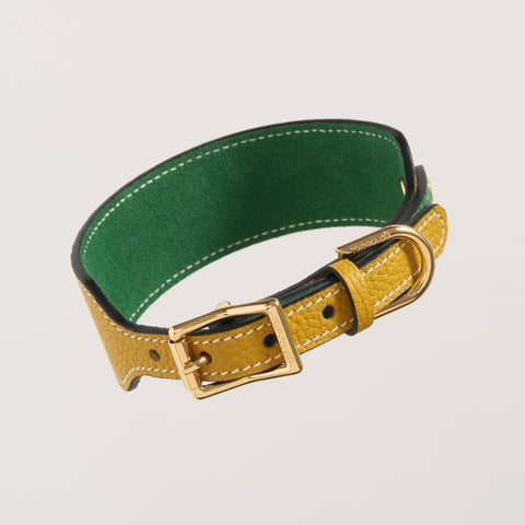 Single Loop Collar Hound - Yellow