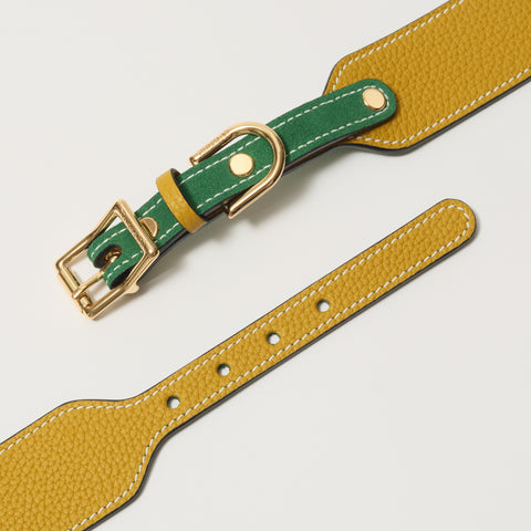 Single Loop Collar Hound - Yellow