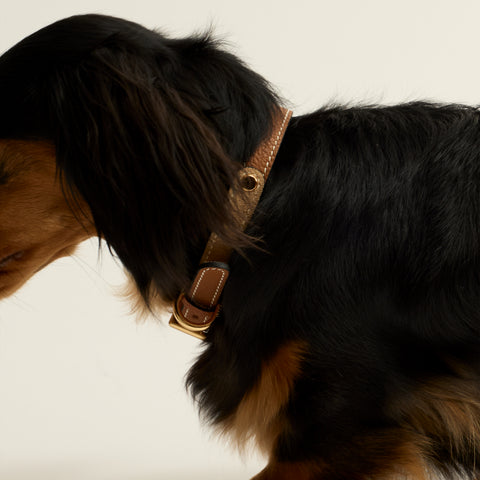 Single Loop Collar Narrow - Brown