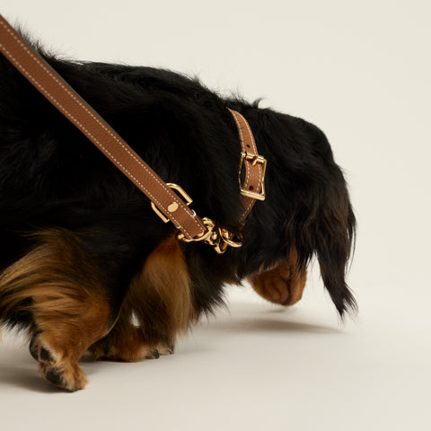 Single Loop Collar Narrow - Brown