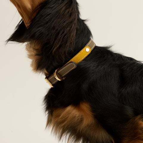Single Loop Collar Narrow - Grey