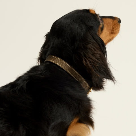 Single Loop Collar Narrow - Grey