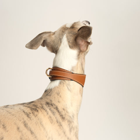 Double Loop Collar Narrow - Brown