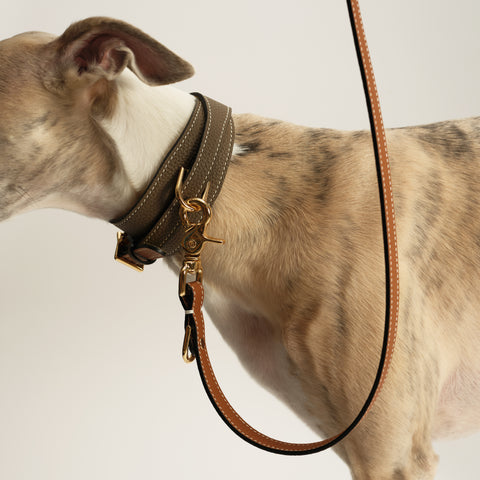 Double Loop Collar Standard - Grey