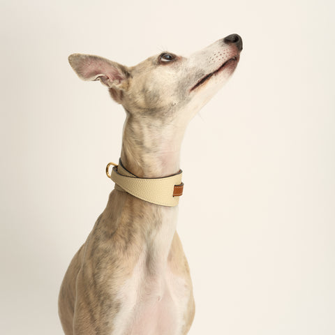 Double Loop Collar Standard - White