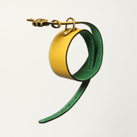 Double Loop Collar Standard - Yellow