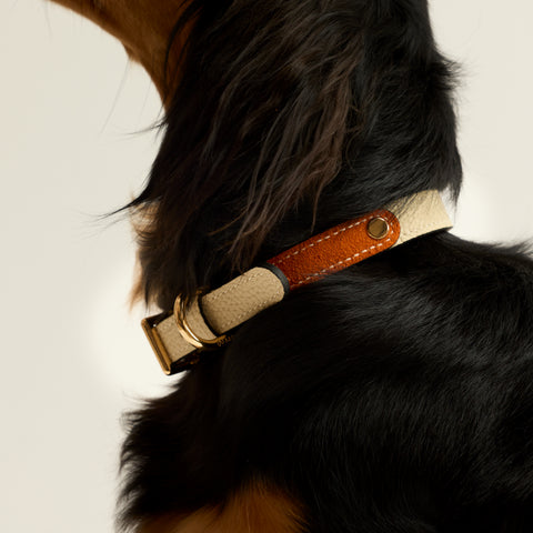 Single Loop Collar Narrow - White