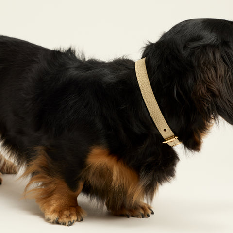 Single Loop Collar Narrow - White